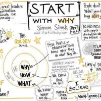 Simon Sinek and Sustaining Excellence